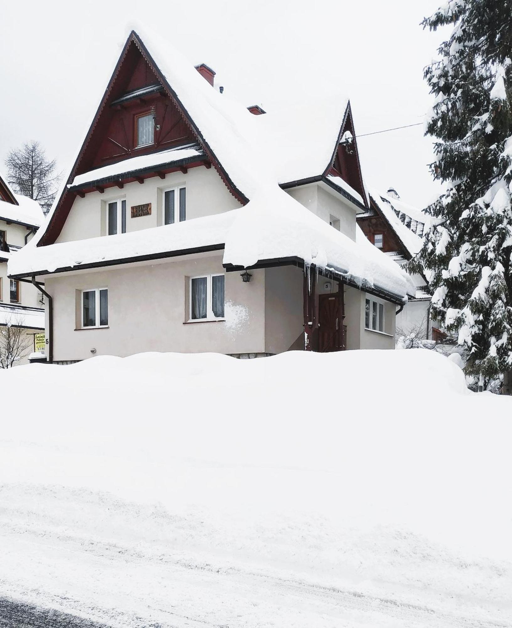 Dom Lesnik Apartment Zakopane Exterior photo